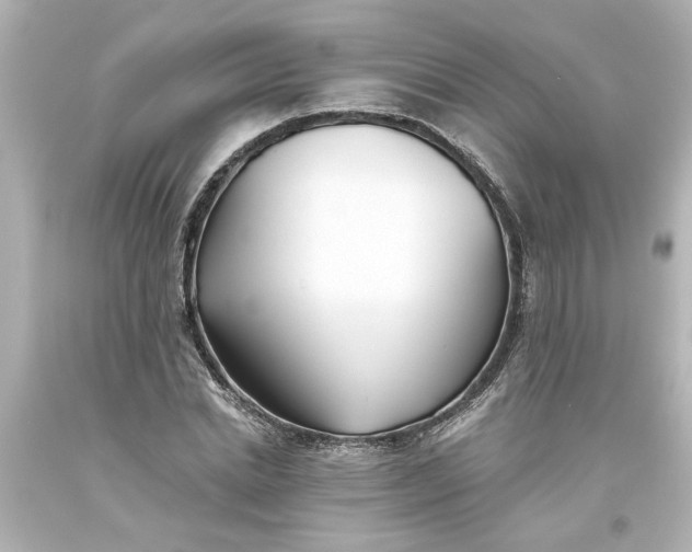 X0000093560830200710291017