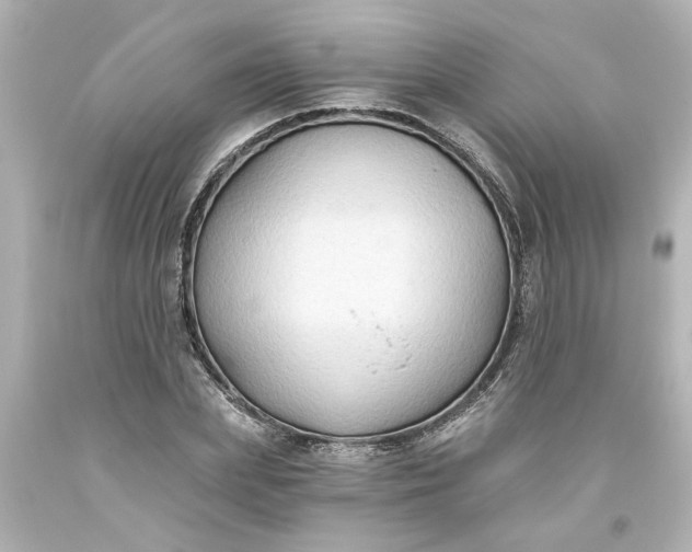 X0000093560831200710291017