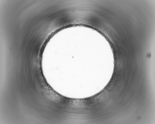 X0000093560832200710291017