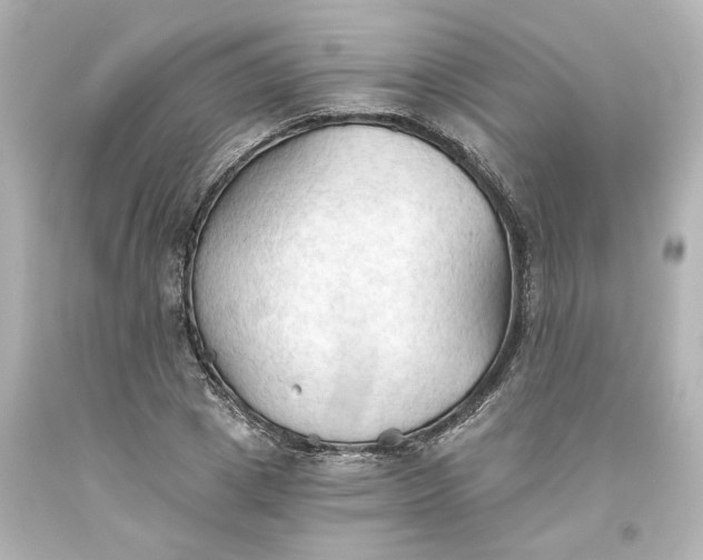 X0000093560833200710291017