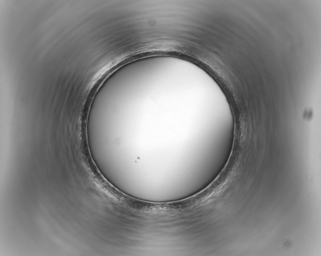 X0000093560834200710291017