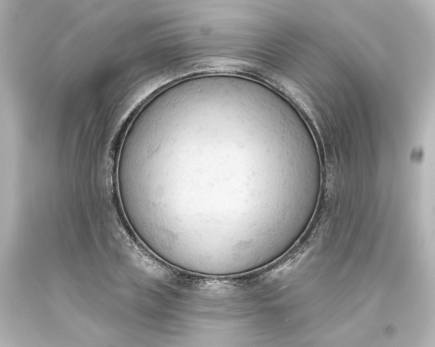 X0000093560835200710291017