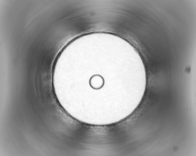 X0000093560836200710291017