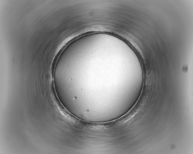 X0000093560837200710291017