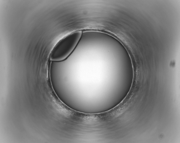 X0000093560838200710291017