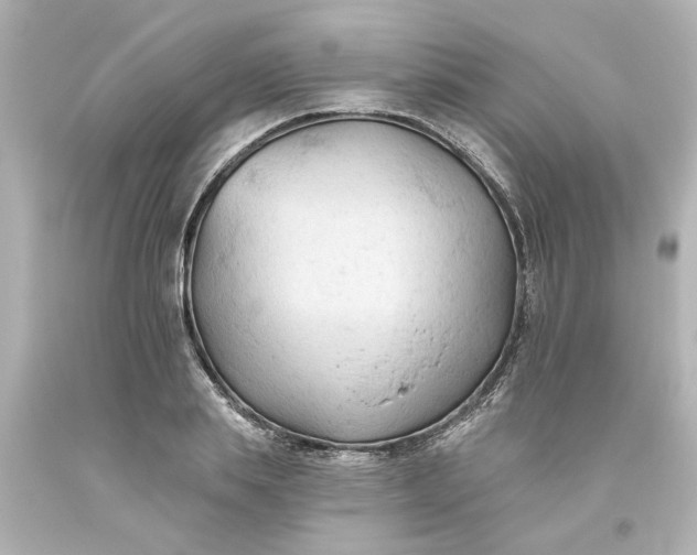 X0000093560839200710291017