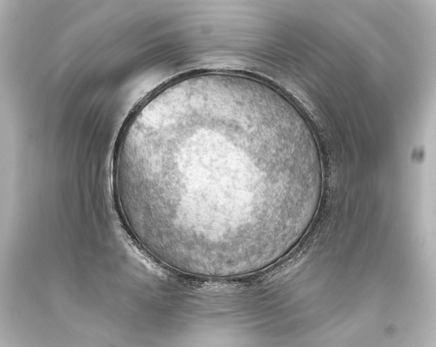 X0000093560840200710291017