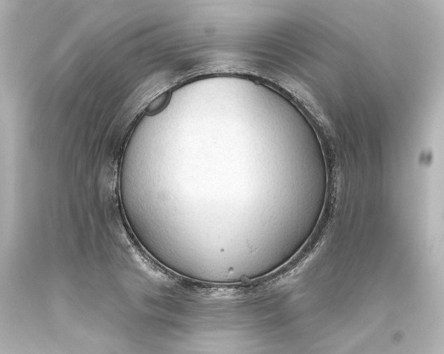 X0000093560841200710291017