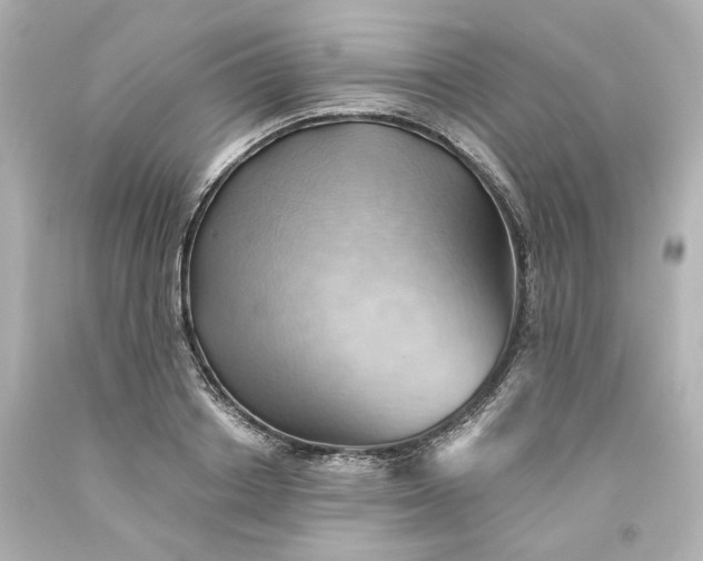 X0000093560842200710291017