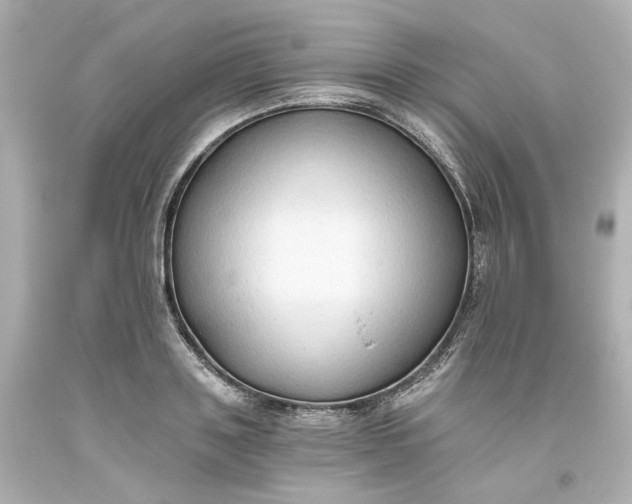 X0000093560843200710291017