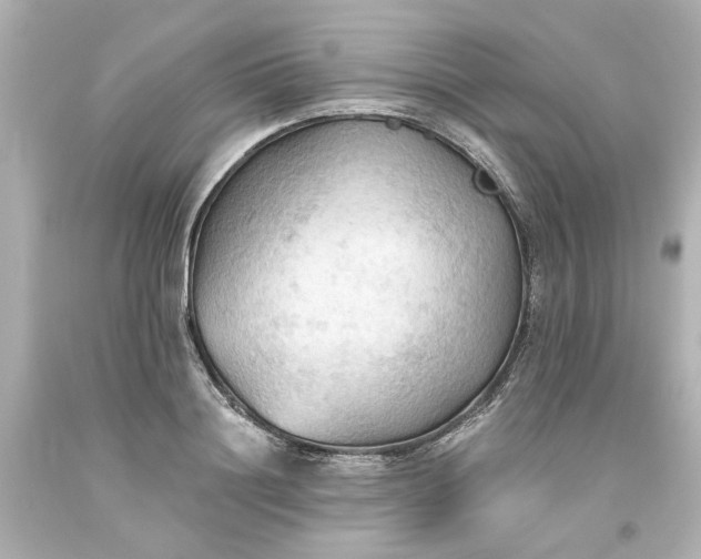 X0000093560844200710291017