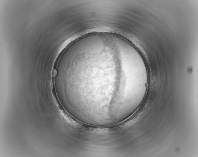 X0000093560845200710291017