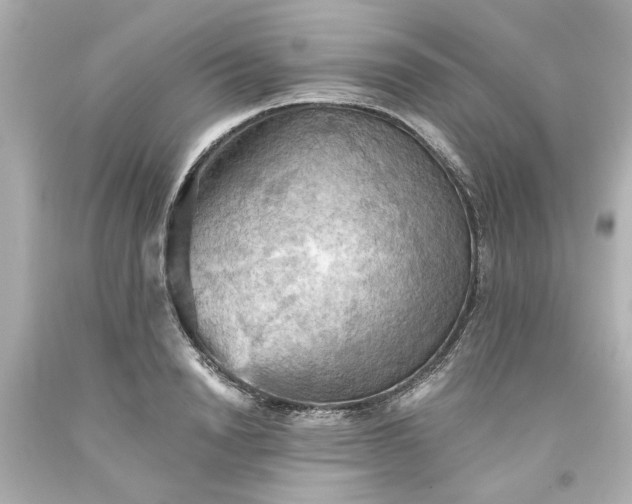 X0000093560846200710291017