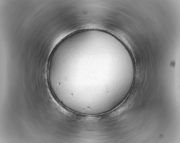 X0000093560847200710291017