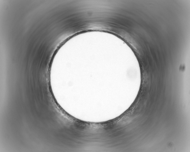 X0000093560848200710291017