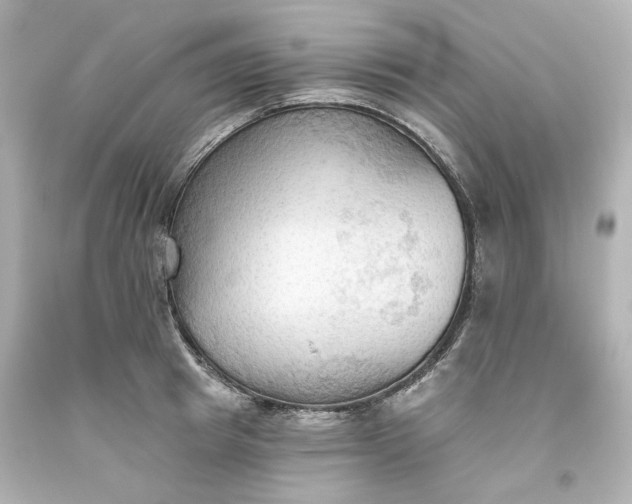 X0000093560849200710291017