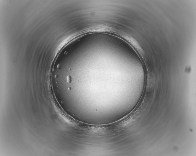 X0000093560850200710291017