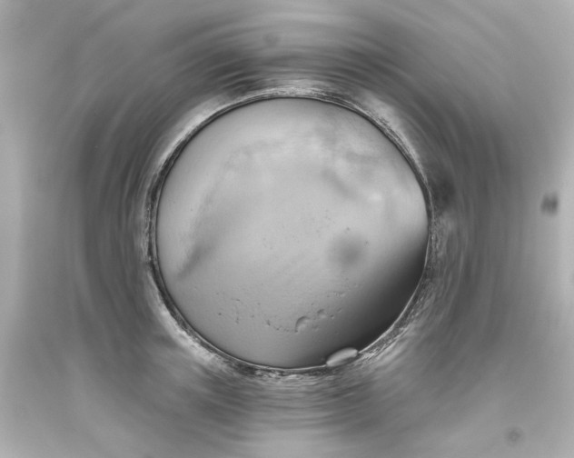 X0000093560851200710291017