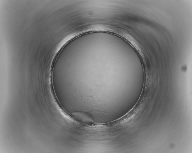 X0000093560853200710291017