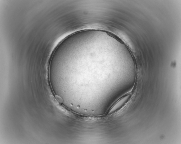 X0000093560854200710291017