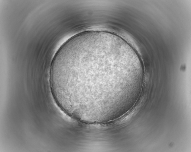 X0000093560855200710291017