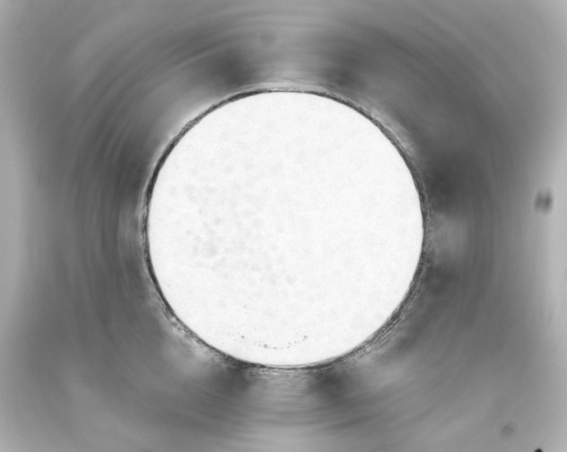 X0000093560856200710291017