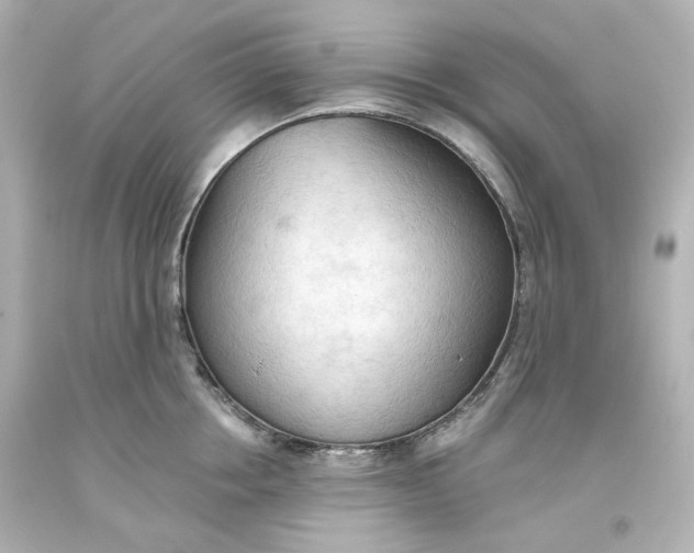 X0000093560858200710291017