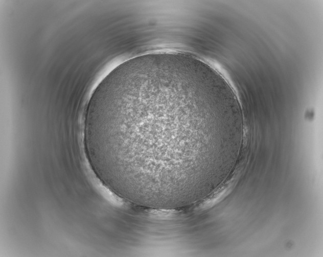 X0000093560859200710291017