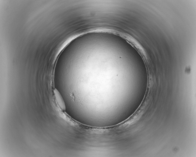 X0000093560860200710291017