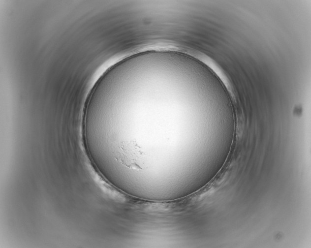 X0000093560861200710291017