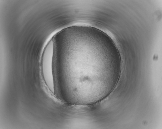 X0000093560864200710291017