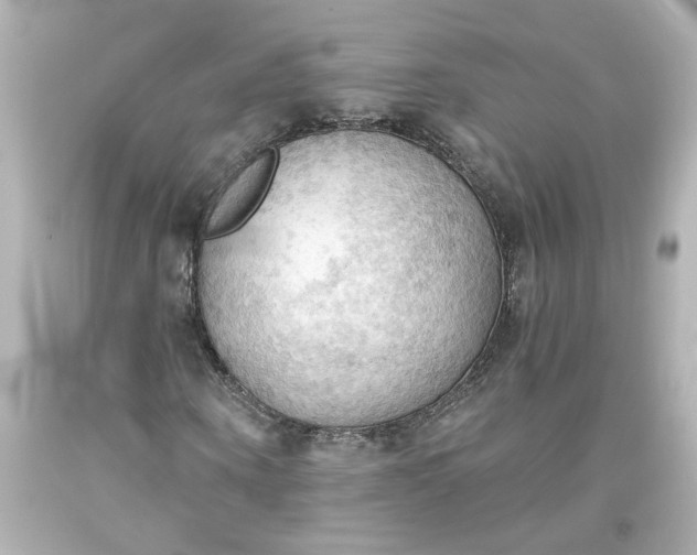 X0000093560866200710291017