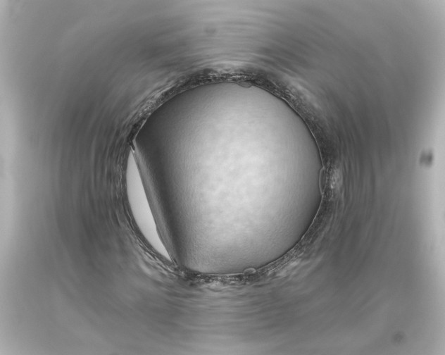 X0000093560868200710291017