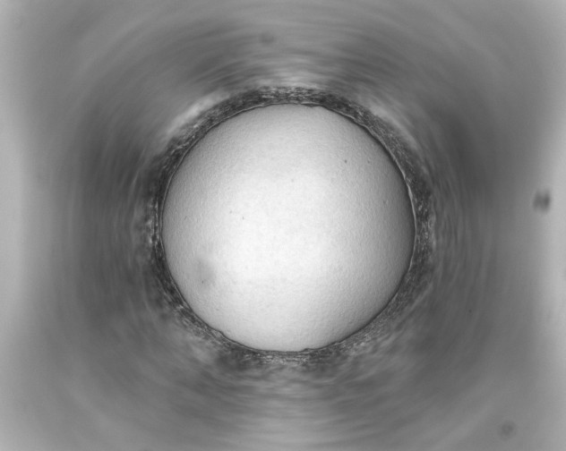 X0000093560870200710291017