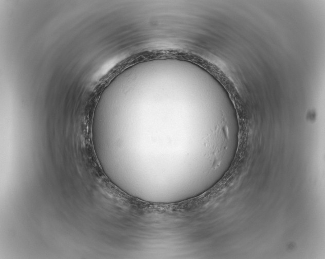 X0000093560871200710291017