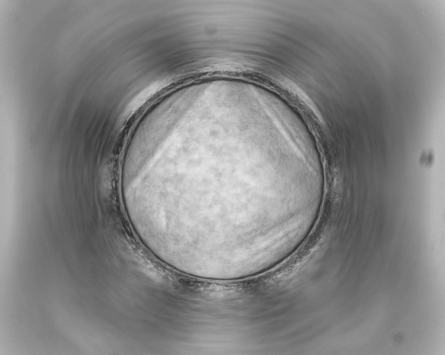 X0000093560874200710291017