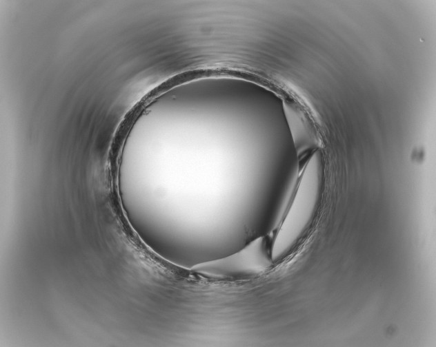 X0000093560876200710291017