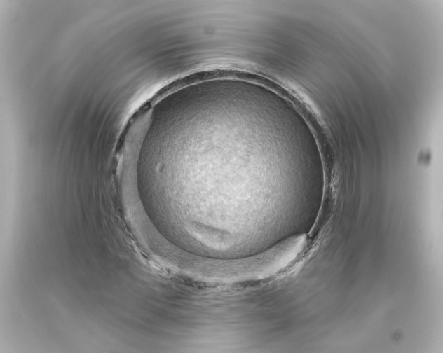 X0000093560877200710291017