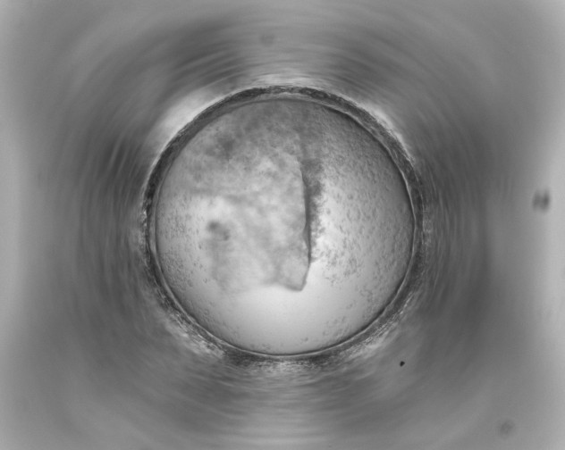 X0000093560879200710291017