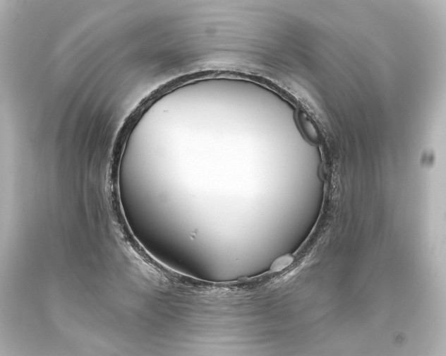 X0000093560880200710291017