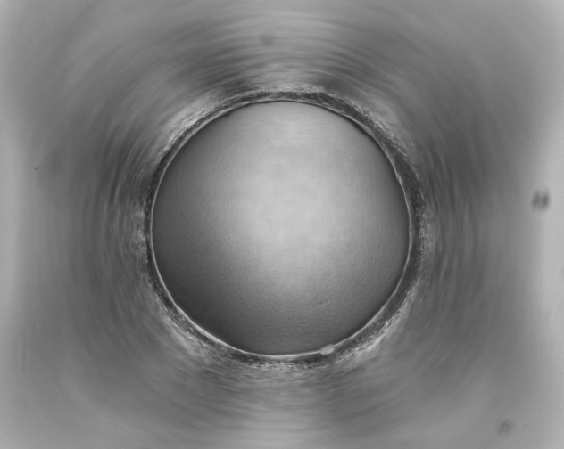 X0000093560881200710291017