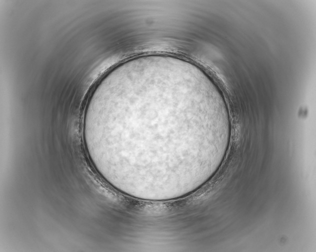 X0000093560882200710291017