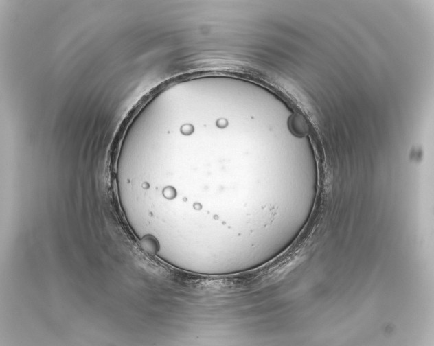 X0000093560883200710291017