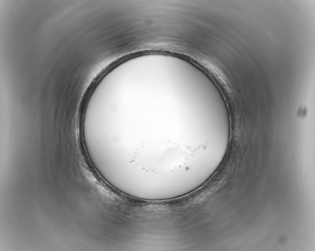 X0000093560888200710291016