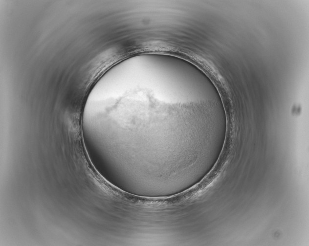 X0000093560889200710291016