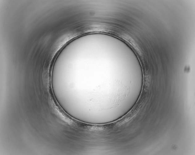 X0000093560890200710291016