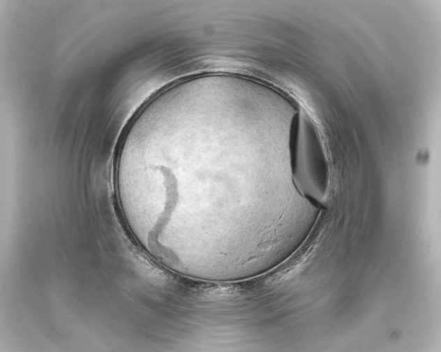 X0000093560891200710291016