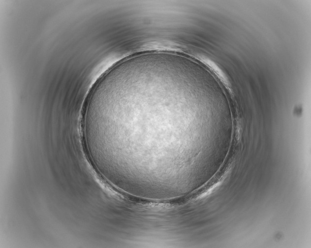 X0000093560893200710291016