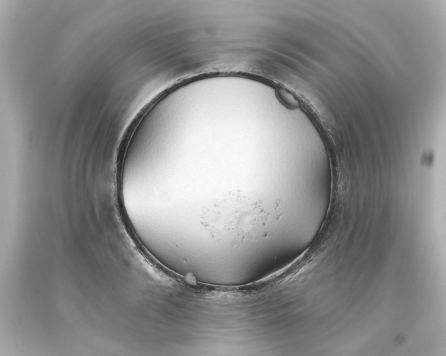 X0000093560894200710291016