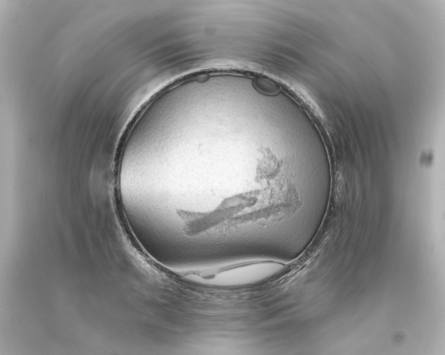 X0000093560895200710291016